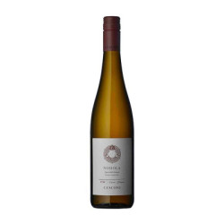 Vendita vino Nosiola Vigneti delle Dolomiti IGT Cesconi