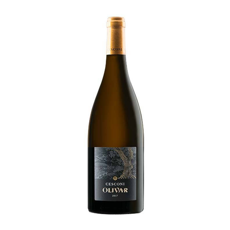 Olivar Viñedos de los Dolomitas IGT Cesconi