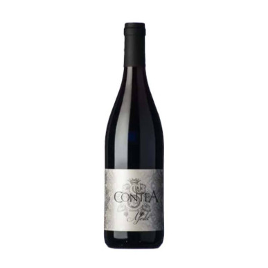 Vente Merlot Riserva ConteA BRDA Valter Sirk