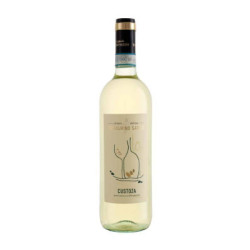 Sale of Custoza DOC Tamburino Sardo wine