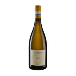 Vente de vin Lugana Selva DOC Podere Selva Capuzza