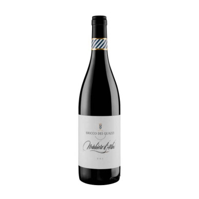 Vendita Nebbiolo d'Alba Langhe Piemonte DOC Bricco dei Guazzi