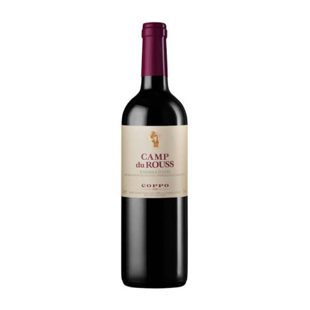 Vendita Camp du Rouss Barbera d’Asti DOCG Coppo