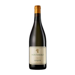 Vendita Monteriolo Chardonnay Piemonte DOC Coppo