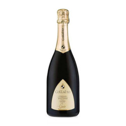 Vino Gaio Extra Seco DOCG Collalto en venta