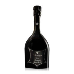 Vendita Franciacorta DOCG Brut Doppio Erre Di Derbusco Cives