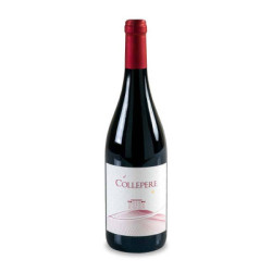 Sale of wine Il Collepere Colli Maceratesi Rosso DOC Villa Collepere