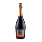 Grappoli di Luna Prosecco DOCG Brut Sarahs Weinberg