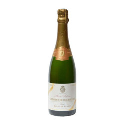 Vendita Cremant De Bourgogne Blanc De Blanc Andre Delorme