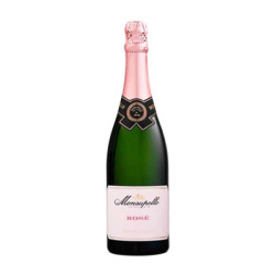 Sale of sparkling wine Rosè Pinot Nero Classic Method Brut Rosè Monsupello