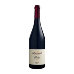 Venta de vino Vaiolet Bonarda Oltrepo' Pavese DOC Monsupello