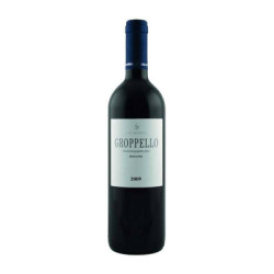 Ventes de vins Groppello IGT Veneto Col Dovigo