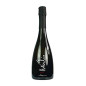 Attilio Brut Contini