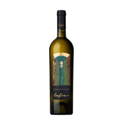 Vente Alto Adige Gewürztraminer DOC Lafóa Colterenzio