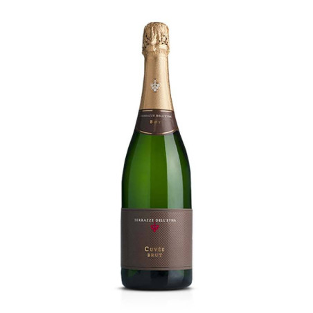 Cuveé Brut Spumante Traditional Classic Method Terraces of Etna