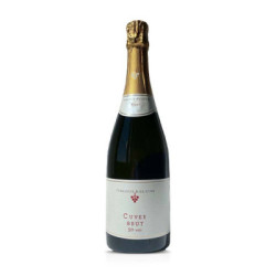Rosé Brut 50 Monate Spumante Traditionelle klassische Methode Terrassen des Ätna