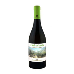 Venta de vino Coda di Volpe Masseria Frattasi