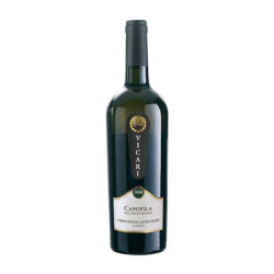 Verkaufsleiter des Pozzo Buono Verdicchio dei Castelli di Jesi DOC Classico Vicari