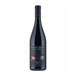 Sale of Predappio di Predappio wine from the vineyard of the General Fattoria Nicolucci