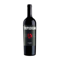 Vente de vin Tripudium Rosso IGT Pellegrino