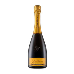 Vendita vino Prosecco Conegliano Valdobbiadene DOCG Extradry Biancavigna