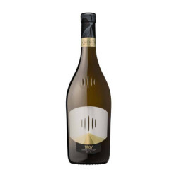 Vente Troy Chardonnay Alto Adige DOC Tramin Kellerei